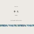 拳頭([意] 彼得羅·格羅西所著短篇小說集)