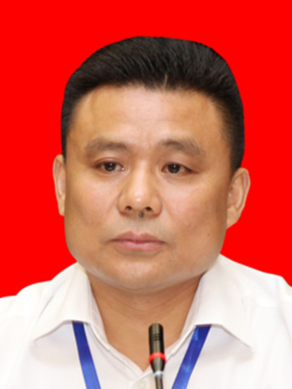 馮斌(民革中央委員，民革長沙市委會專職副主委)