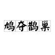 鳩奪鵲巢 鳩奪鵲巢