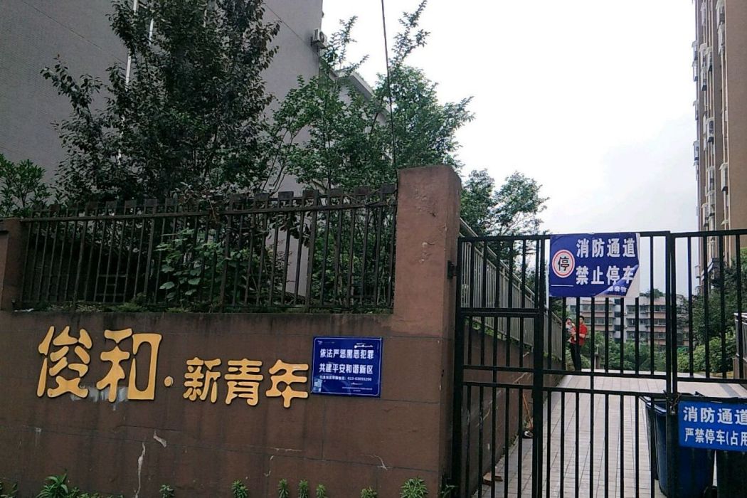 俊和新青年