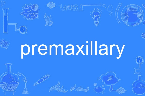 premaxillary premaxillary