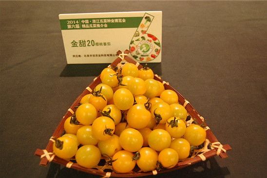 金甜880 金甜880