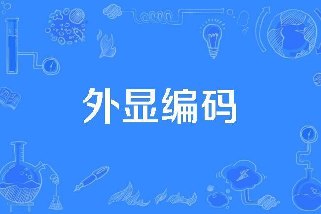 外顯編碼 外顯編碼