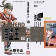 海盜王18 海盜王18