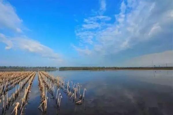 察汗淖爾(湖泊) 察汗淖爾(湖泊)