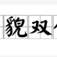 才貌雙全 才貌雙全
