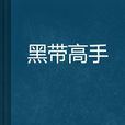 黑帶高手 黑帶高手