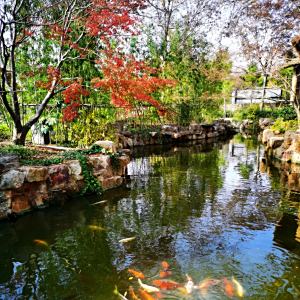 松茗園 松茗園