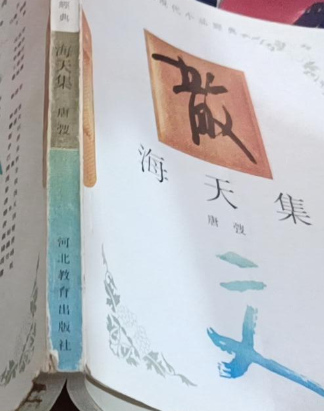 海天集(2000年河北教育出版社出版的圖書) 海天集(2000年河北教育出版社出版的圖書)