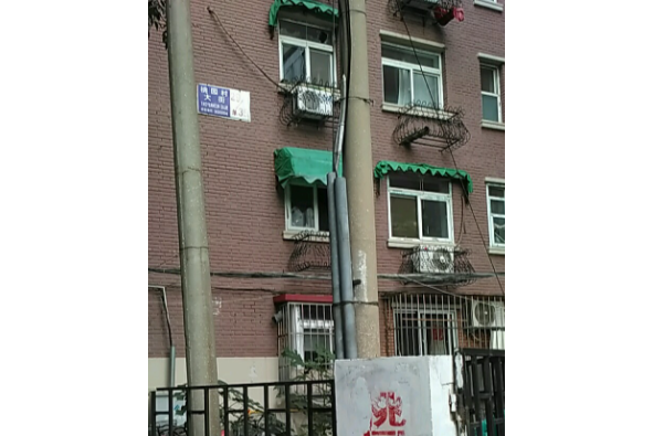 桃園村大街 桃園村大街