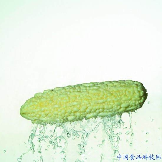 玫瑰苦瓜 玫瑰苦瓜