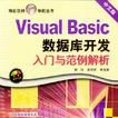 Visual Basic資料庫開發入門與範例解析