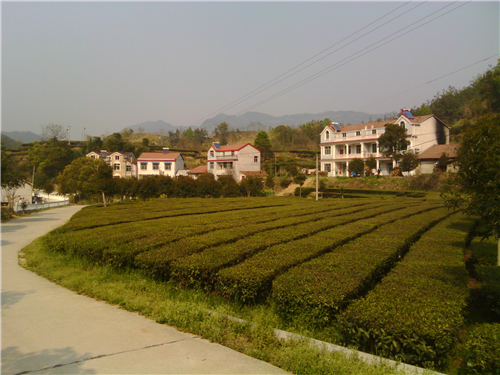 爛柴河村 爛柴河村