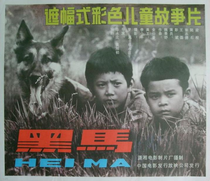 黑馬(1989年羅真和華永莊執導電影)
