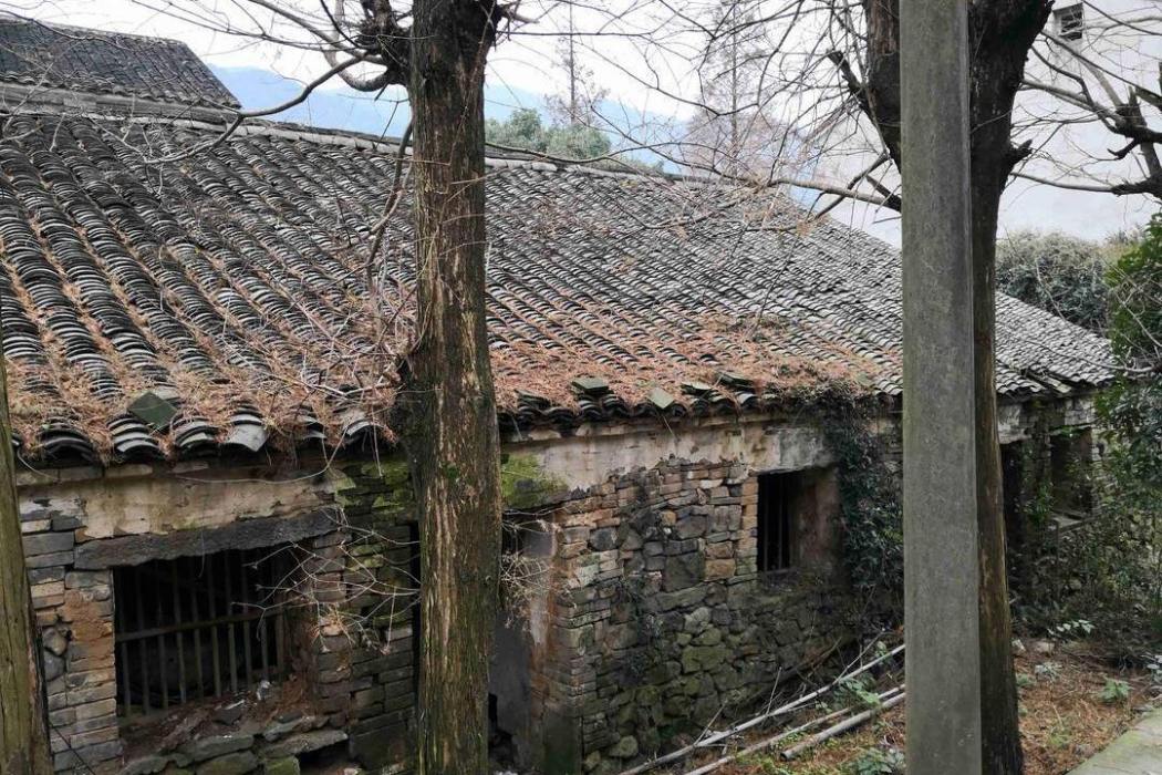 秦渡庵 秦渡庵