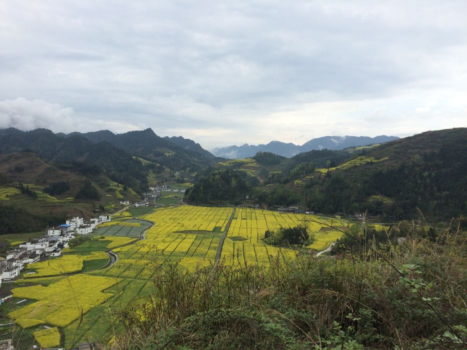 屵山