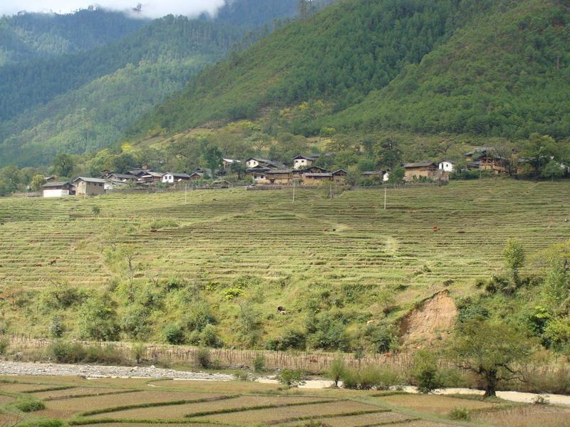 柯功自然村 柯功自然村