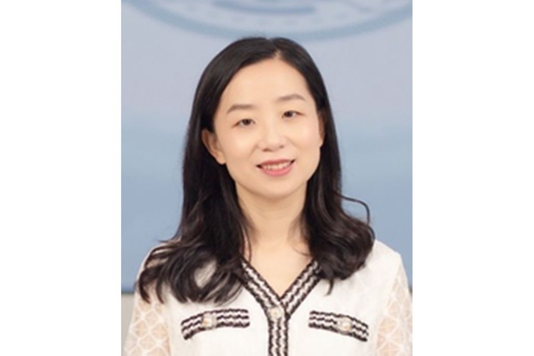 陳婷(長安大學信息工程學院教授) 陳婷(長安大學信息工程學院教授)