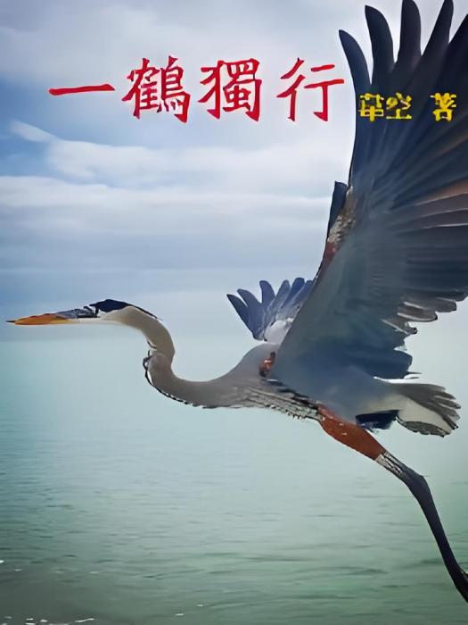一鶴獨行 一鶴獨行