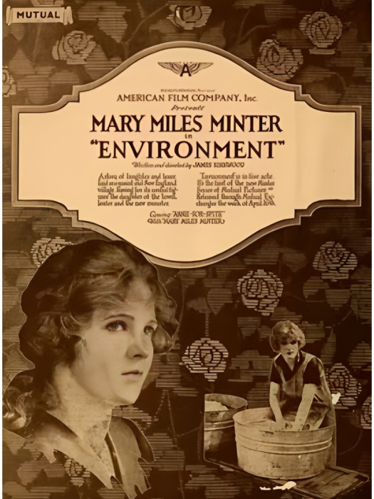 Environment(美國1917年James Kirkwood執導的電影) Environment(美國1917年James Kirkwood執導的電影)