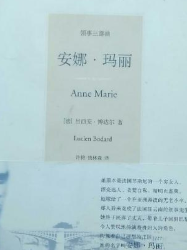 安娜·瑪麗(2007年上海人民出版社出版的圖書) 安娜·瑪麗(2007年上海人民出版社出版的圖書)
