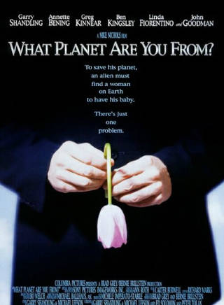 安妮特·貝寧(Annette Bening) 安妮特·貝寧(Annette Bening)