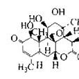 鴉膽子(苦}素D 鴉膽子(苦}素D