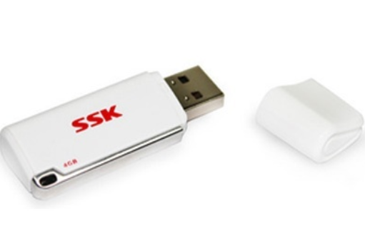 SSK 書卷 SFD122(16GB) SSK 書卷 SFD122(16GB)
