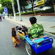 馴狗哥 馴狗哥