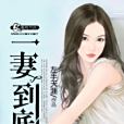一妻到底 一妻到底