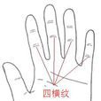 四橫紋 四橫紋