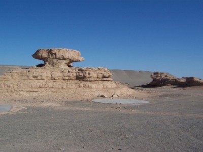 乾旱地貌的蘑菇石