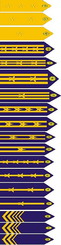 海巡署階級章