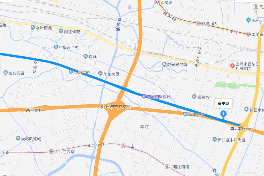 曹安路163號 曹安路163號