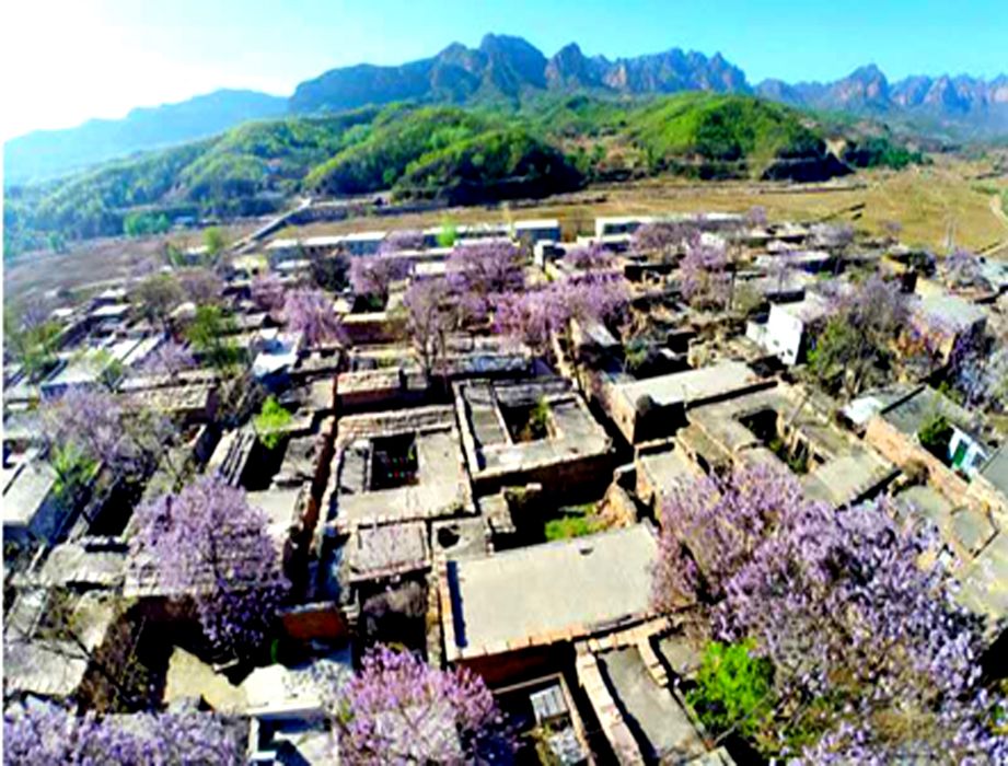 王茜村 王茜村