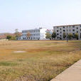 哲橋 哲橋