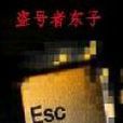 盜號者東子 盜號者東子
