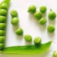 蔬菜厭食症 蔬菜厭食症