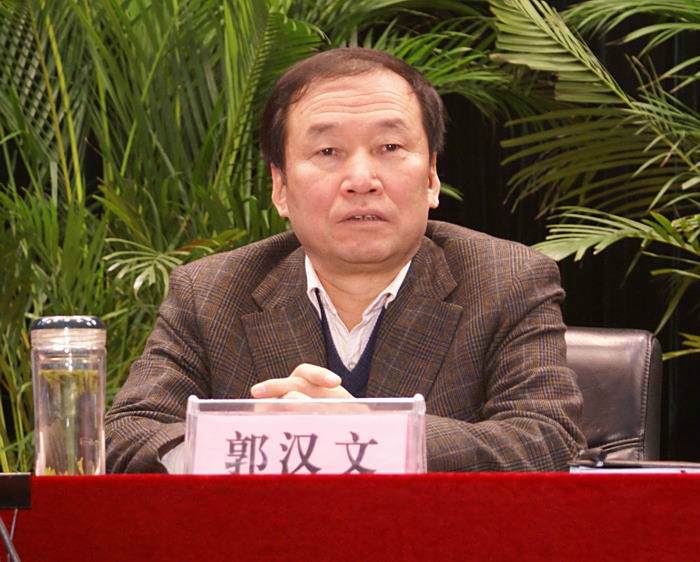 郭漢文(政協第十一屆陝西委員會醫藥衛體委員會主任)