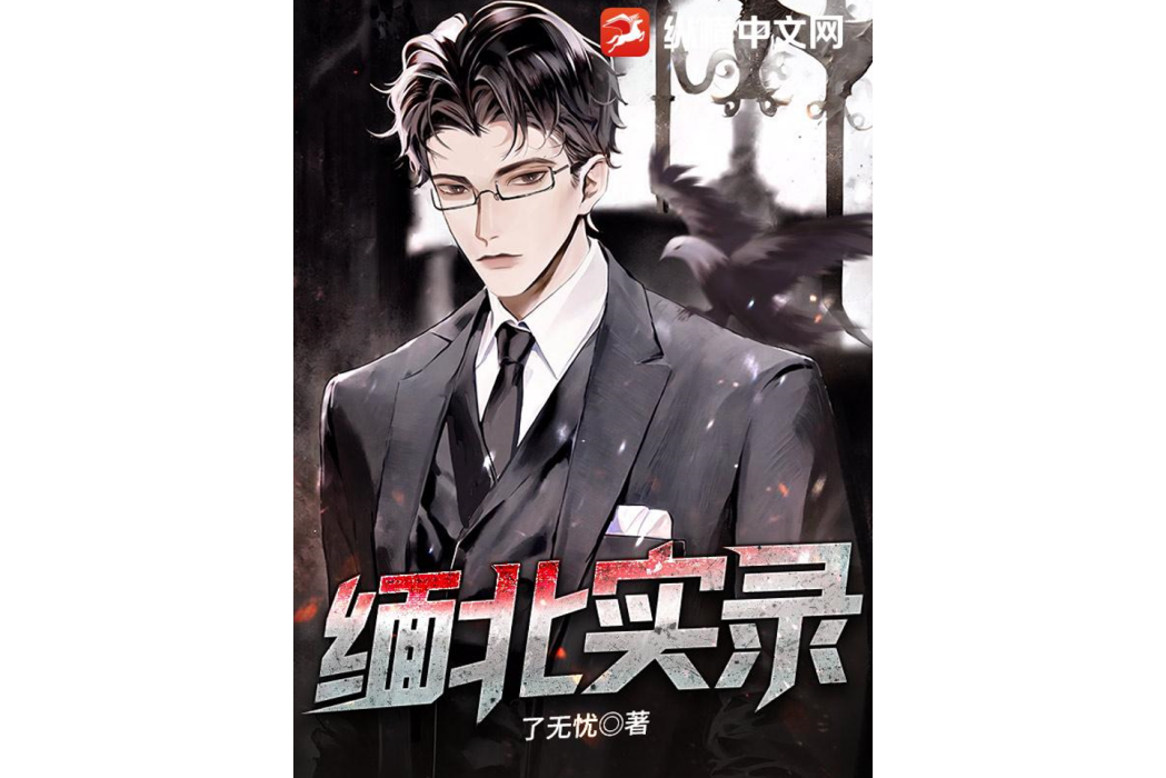 緬北實錄 緬北實錄