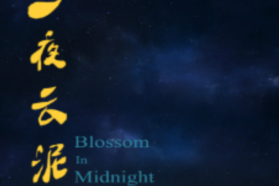 一夜雲泥 一夜雲泥