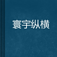 寰宇縱橫 寰宇縱橫