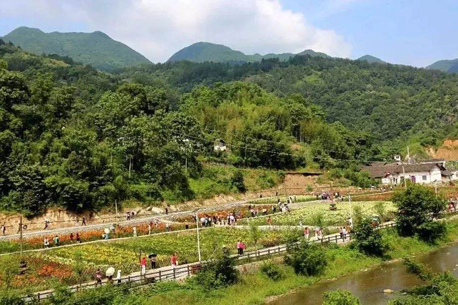 勝利村(山東省菏澤市巨野縣柳林鎮下轄村) 勝利村(山東省菏澤市巨野縣柳林鎮下轄村)