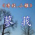 蓼莪