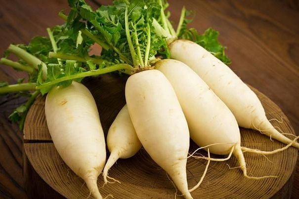 南熱白4號 南熱白4號