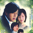 玻璃鞋(2002年金賢珠主演韓國電視劇) 玻璃鞋(2002年金賢珠主演韓國電視劇)