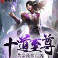 十道至尊 十道至尊