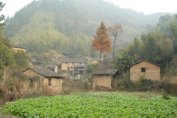 烏弄坑村 烏弄坑村