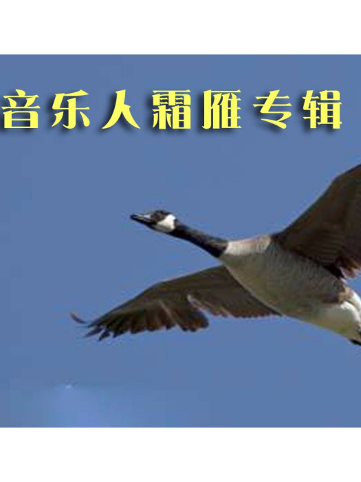 假象(霜雁作詞的歌曲) 假象(霜雁作詞的歌曲)