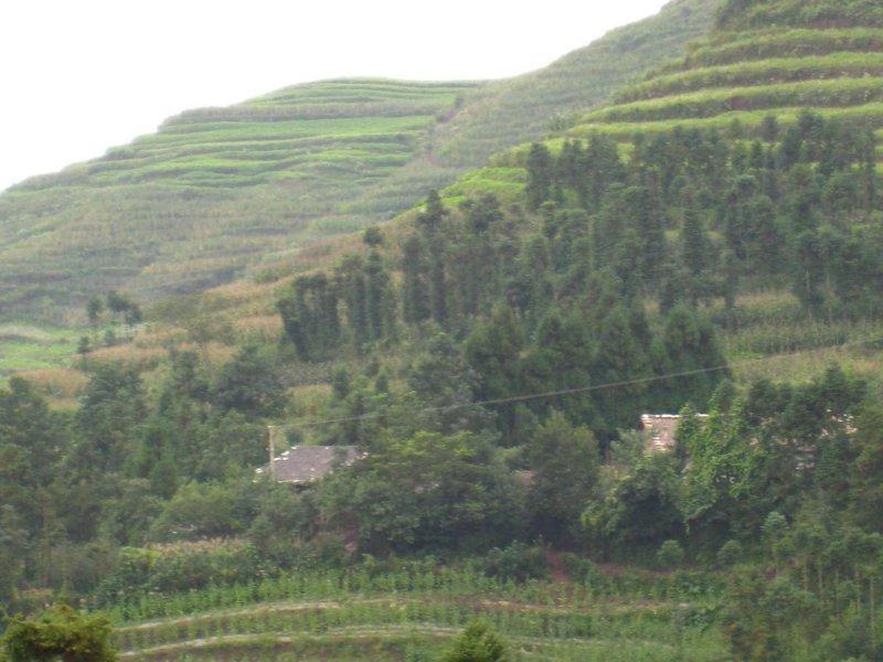 窩子寨村(雲南保山市龍陵縣龍新鄉下轄村) 窩子寨村(雲南保山市龍陵縣龍新鄉下轄村)